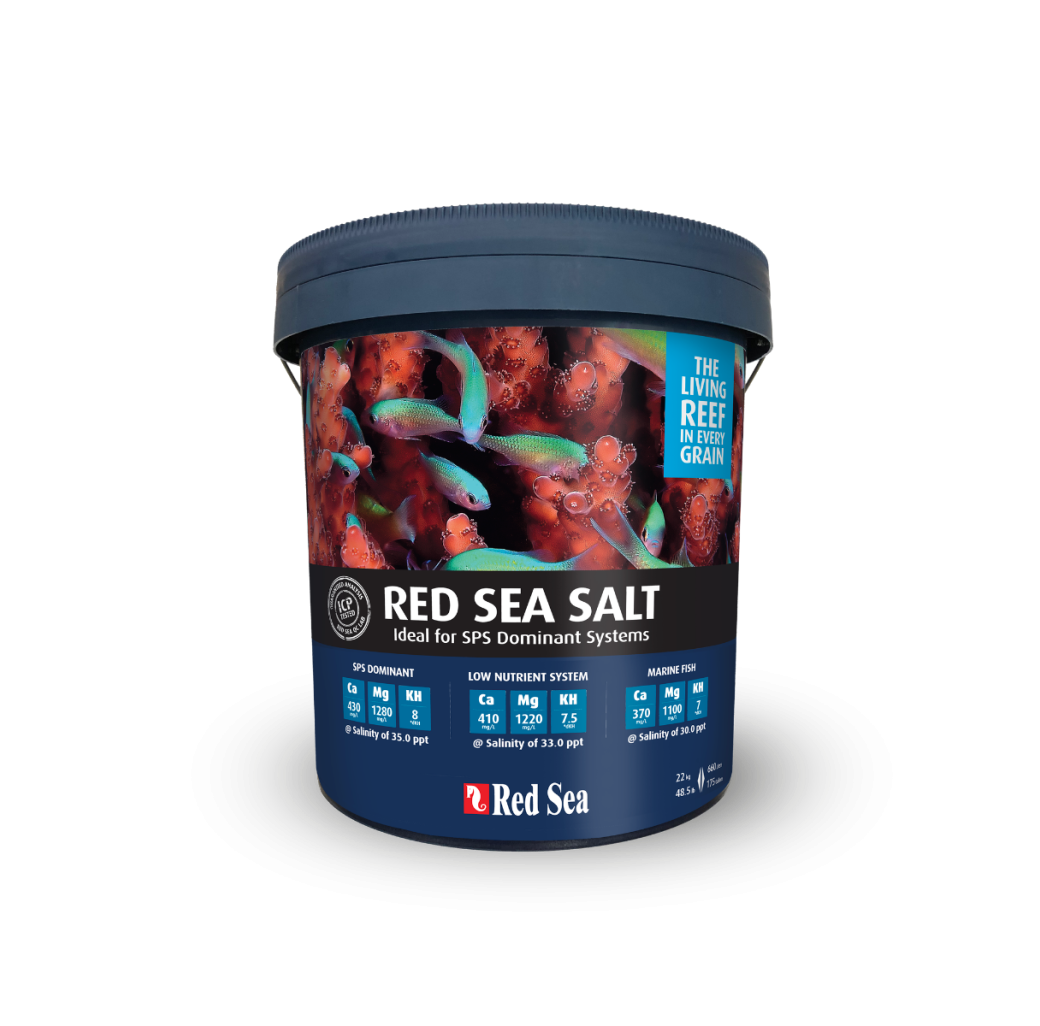 Red Sea Salt