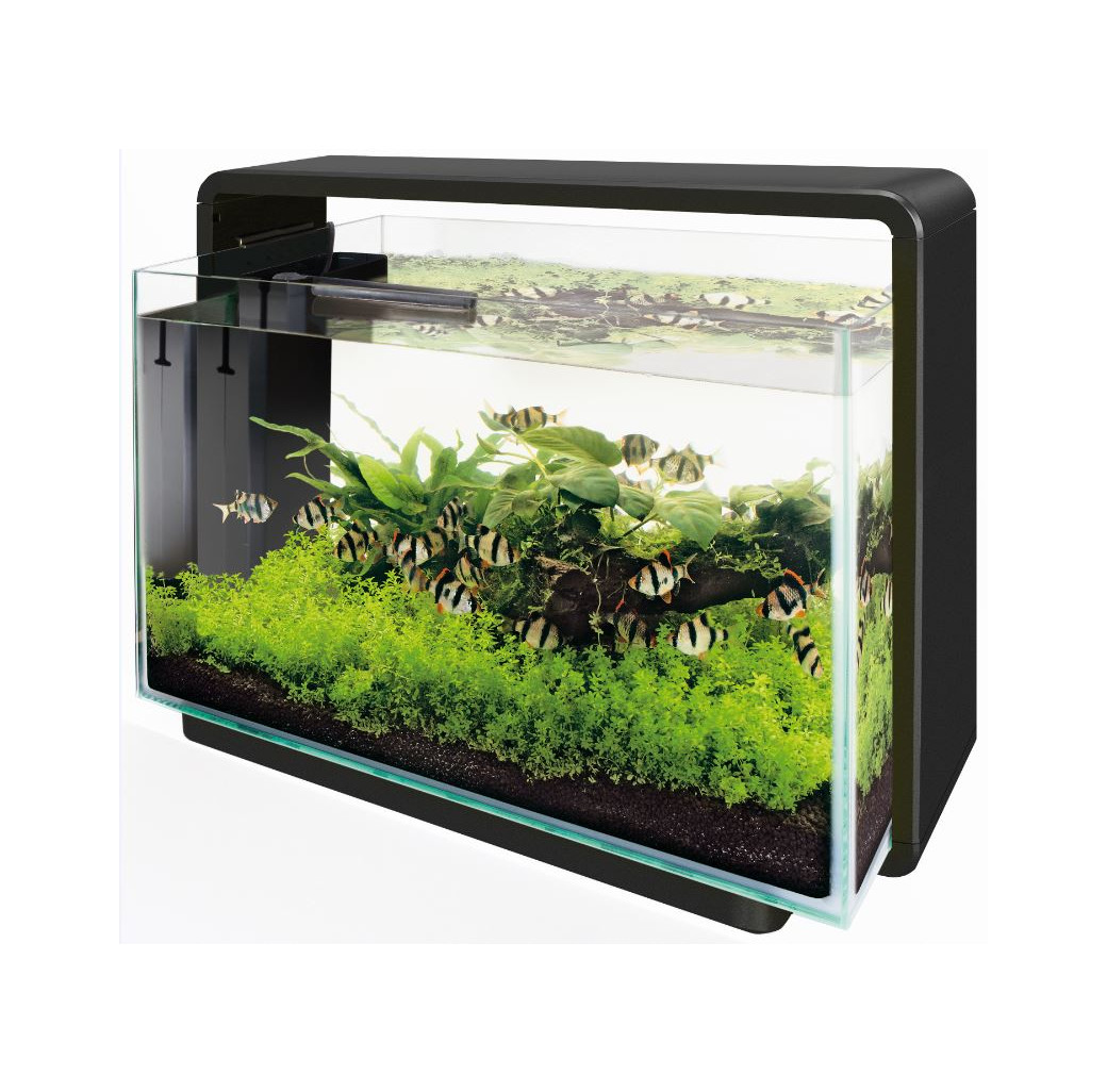 Superfish Home 65 Aquarium - Black