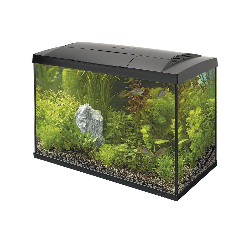 Superfish Start 100 Tropical Aquarium - Black