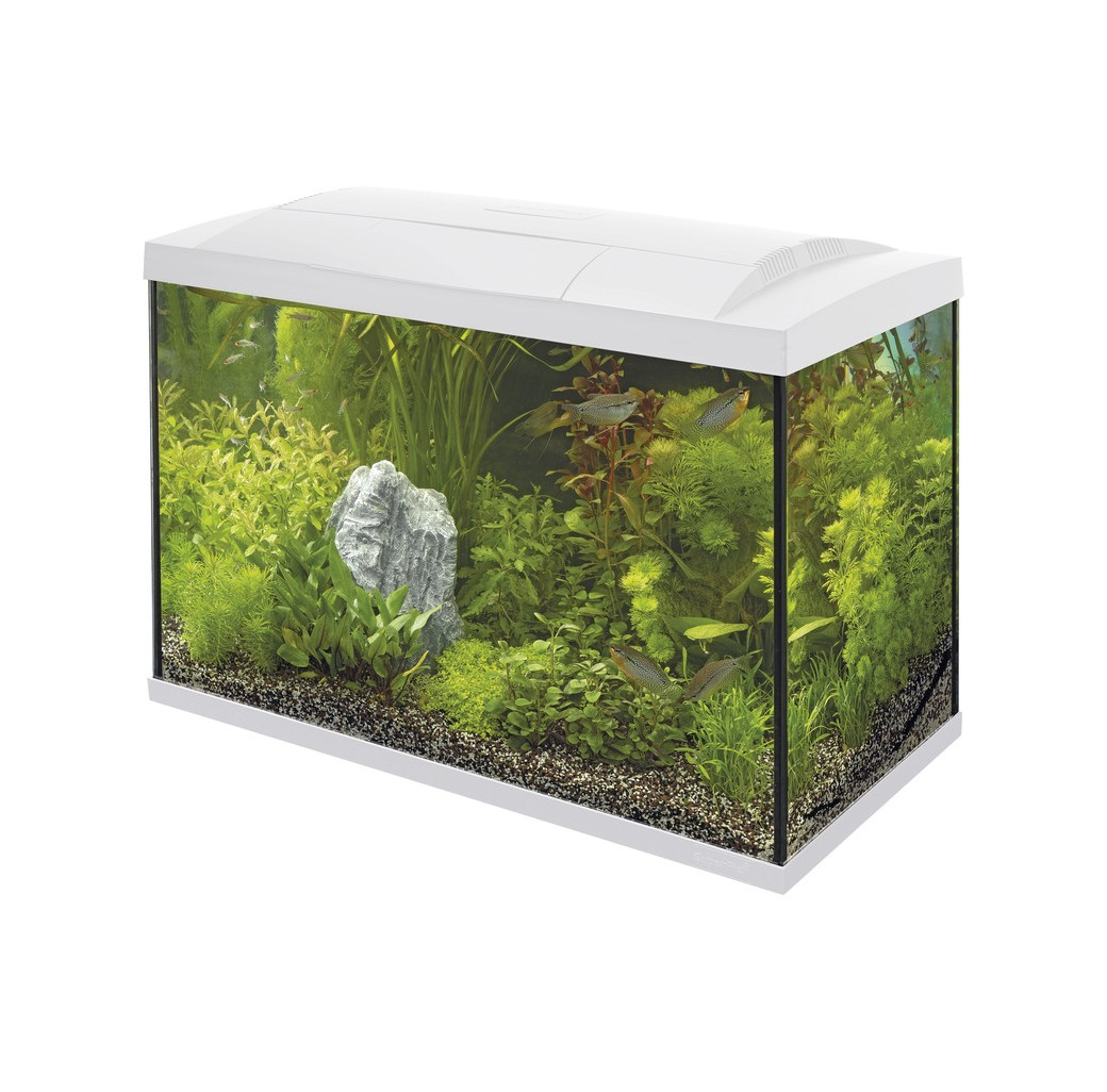 Superfish Start 100 Tropical Aquarium - White