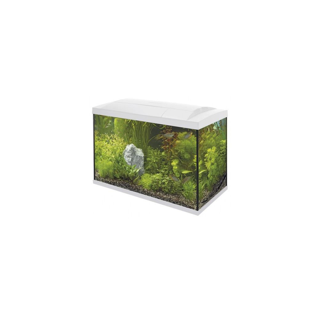 Superfish Start 70 Tropical Aquarium - White