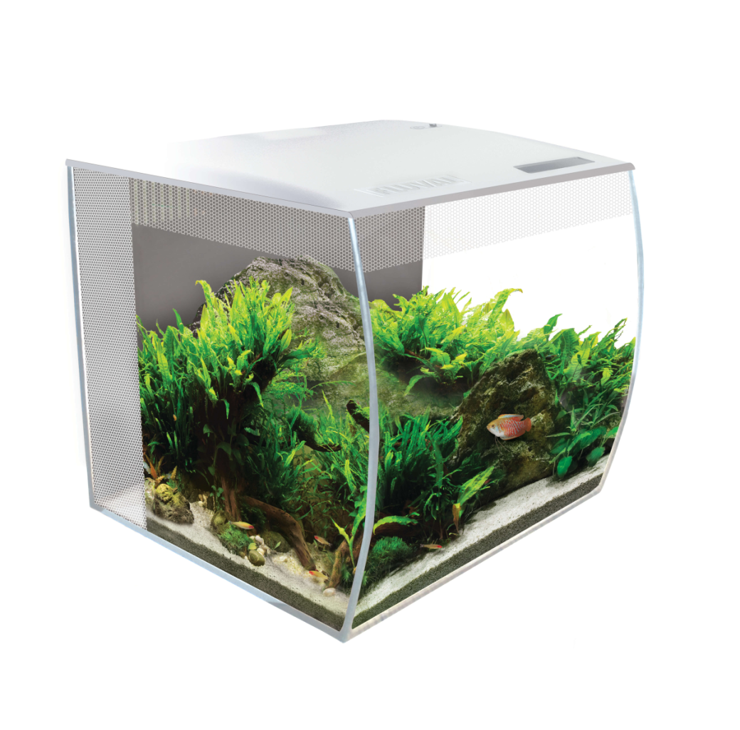 Fluval Flex 34 Litre Aquarium White Maidenhead Aquatics