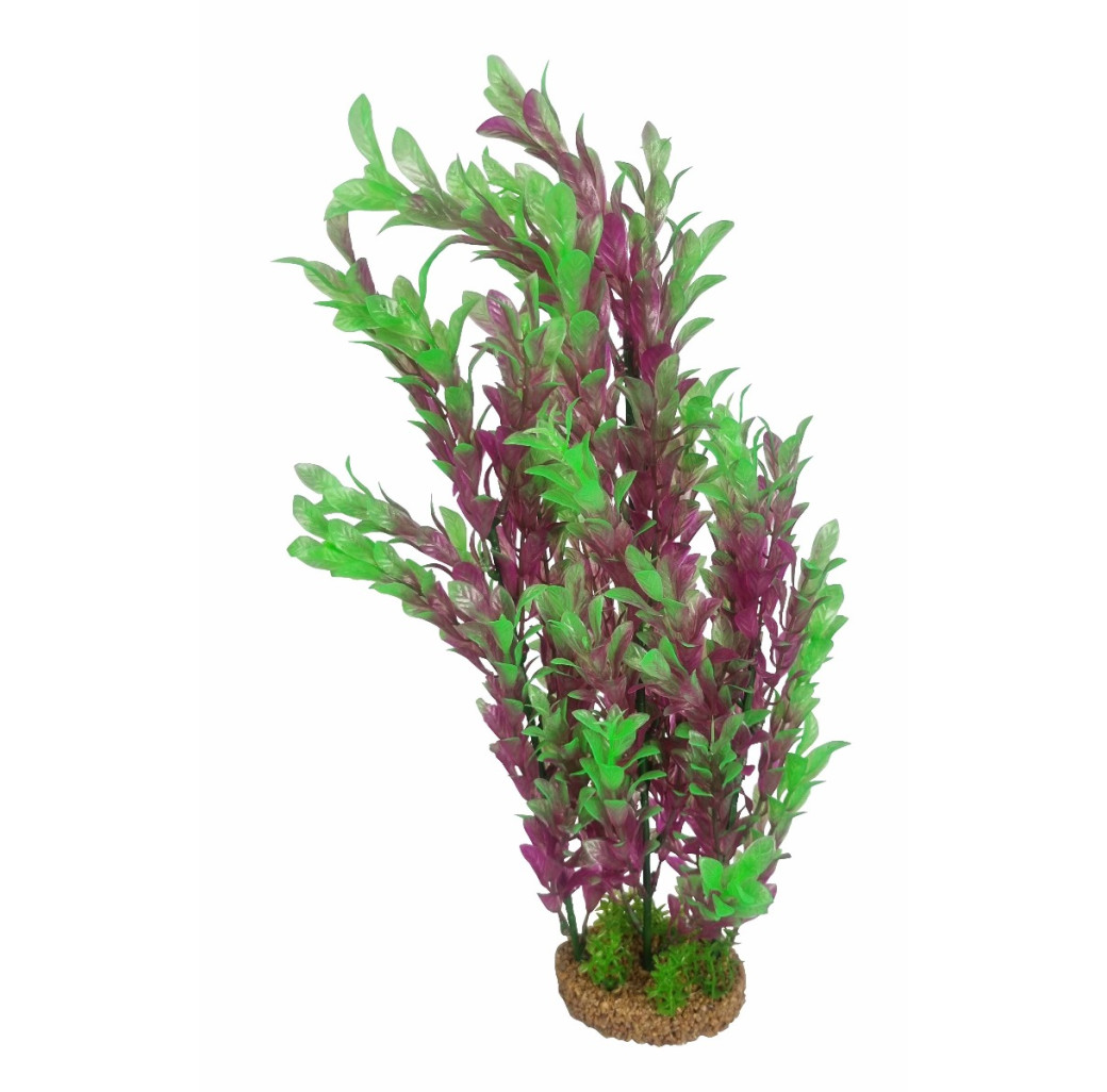 AquaManta Gravel Base Artificial Plant - Green Purple Ludwiga