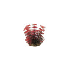 Classic Gravel Base Artificial Plant - Red Umbrella (10cm)