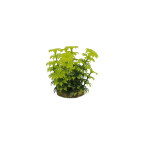 Classic Gravel Base Artificial Plant - Yellow Umbrella (10cm)