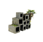 Classic Ornament - Cube Concrete Swim through with plants 