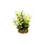 Classic Artificial Plant - Aquatic Leaf Plant White/Green