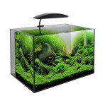 AquaManta Nano 60 LED Aquarium