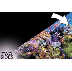 Superfish 2 Sided Aquarium Background A - Black & Reef