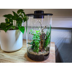 Bio Art Terrarium Black Cylinder