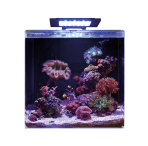 Blue Marine Reef 90 Aquarium and Cabinet