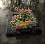 Pond Plant Basket - Floating