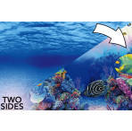 Superfish 2 Sided Aquarium Background F - Underwater & Marine