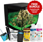 Fluval Flex 57 Litre Aquarium - Special Bundle