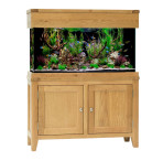 Aqua Oak Slim 100cm Aquarium & Cabinet