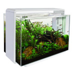 Superfish Home 85 Aquarium - White