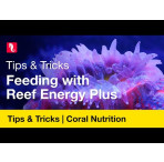 Red Sea Reef Energy AB+ Complete Coral Food