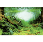 Superfish 2 Sided Aquarium Background C - Planted Aquascapes