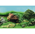 Superfish 2 Sided Aquarium Background C - Planted Aquascapes