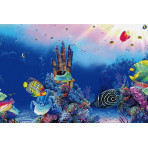 Superfish 2 Sided Aquarium Background F - Underwater & Marine