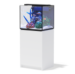 Aqua Marin 600 Pro Aquarium, Sump & Cabinet - White