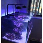 TMC Reef Photon LED Lighting Pods (2 x 84 W) 