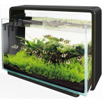 Superfish Home 65 Aquarium - Black