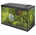 Superfish Start 100 Tropical Aquarium - Black