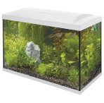 Superfish Start 100 Tropical Aquarium - White