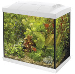 Superfish Start 50 Tropical Aquarium - White