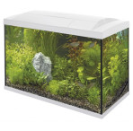 Superfish Start 70 Tropical Aquarium - White