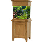 Aqua Oak Small Cube Aquarium & Cabinet