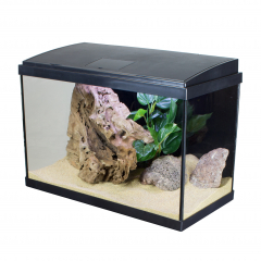 Aquatropic best sale mini aquarium