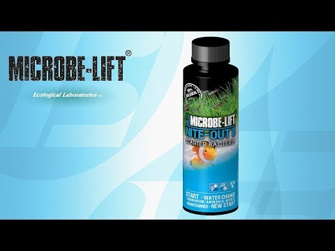 MICROBE-LIFT NITEH04 Nite-Out II Aquarium and Fish Tank Cleaner for Rapid  Ammonia and Nitrite Reduction, Freshwater and Saltwater, 4 Ounces