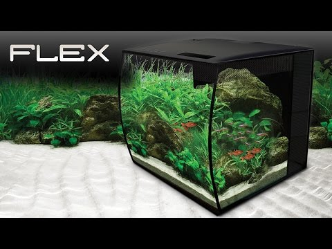 Fluval flex outlet white