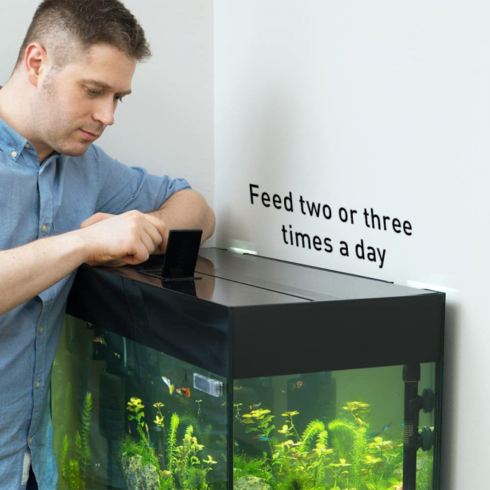 Fibre fish tank outlet online