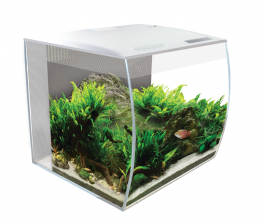 Fluval flex 34l stand best sale