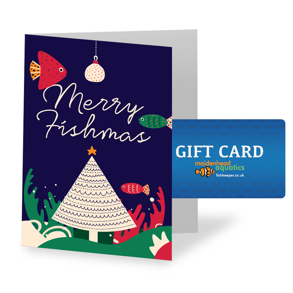 Christmas Gift Card Envelope, Christmas Gift Card Holder, Pop up Gift Card  Holder, Xmas Gift Card Holder, Teacher Gift Card Holder - Etsy UK