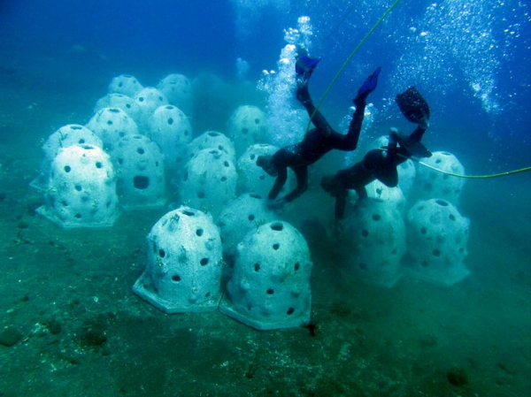 artificial-reefs-1415786896.jpg