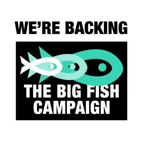 bigfishcampaign-small(1004).jpg&w=470&zc