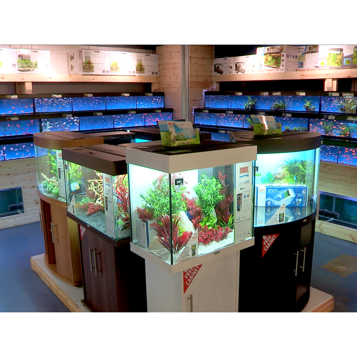 Fish tank 2024 shop near me