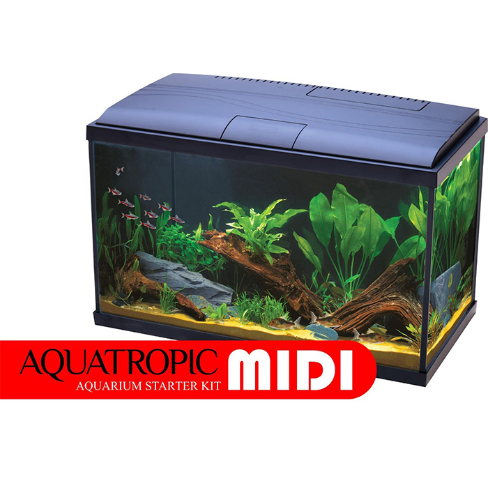 aquatropic aquarium