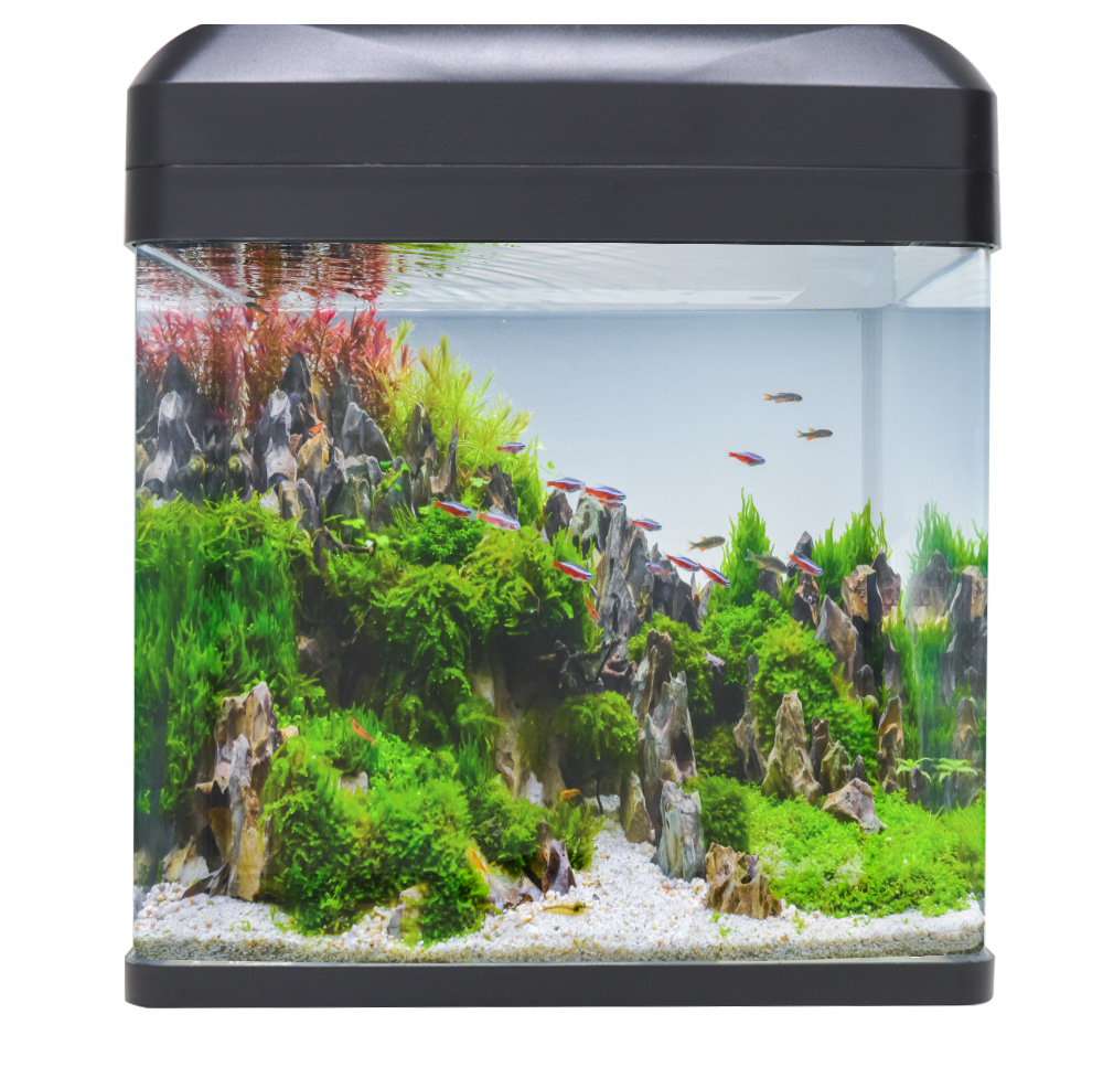 Aquarium de 100 litres - Cdiscount